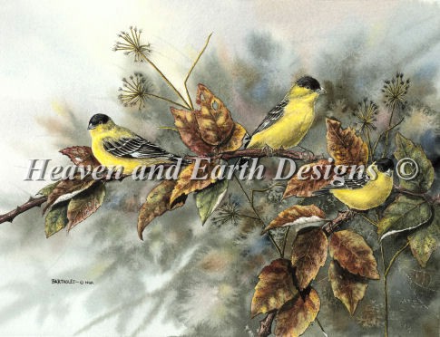 Gold Finches Material Pack - Click Image to Close